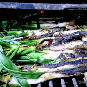 calçots